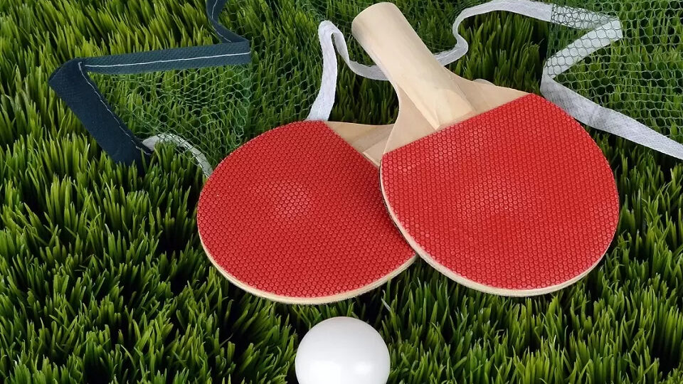 Лучшие ракетки для настольного тенниса 2022