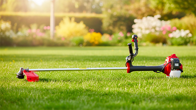 EFCO 8550 BOSS. Фото: Татьяна Фадеева / Нейросеть