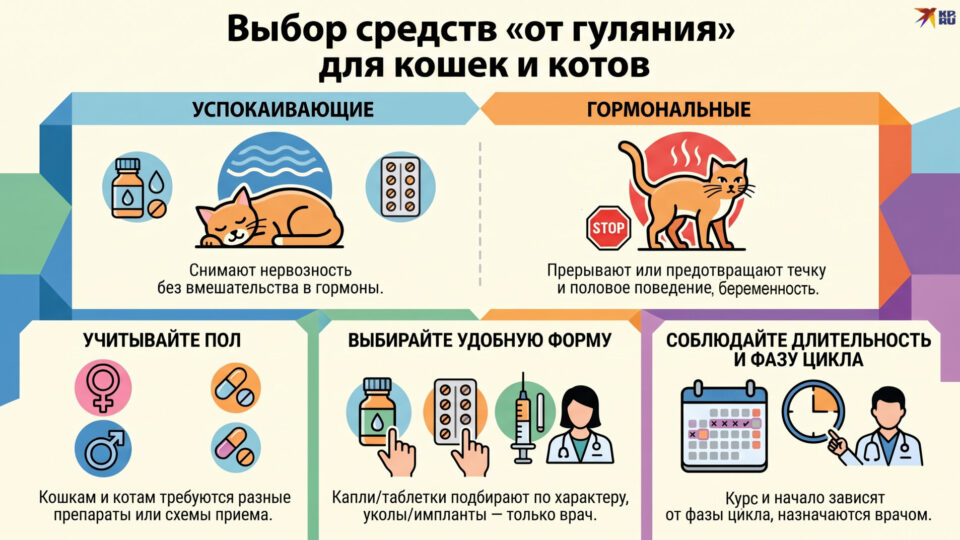 Как выбрать средство от гуляния (антисекс) для кошки, кота