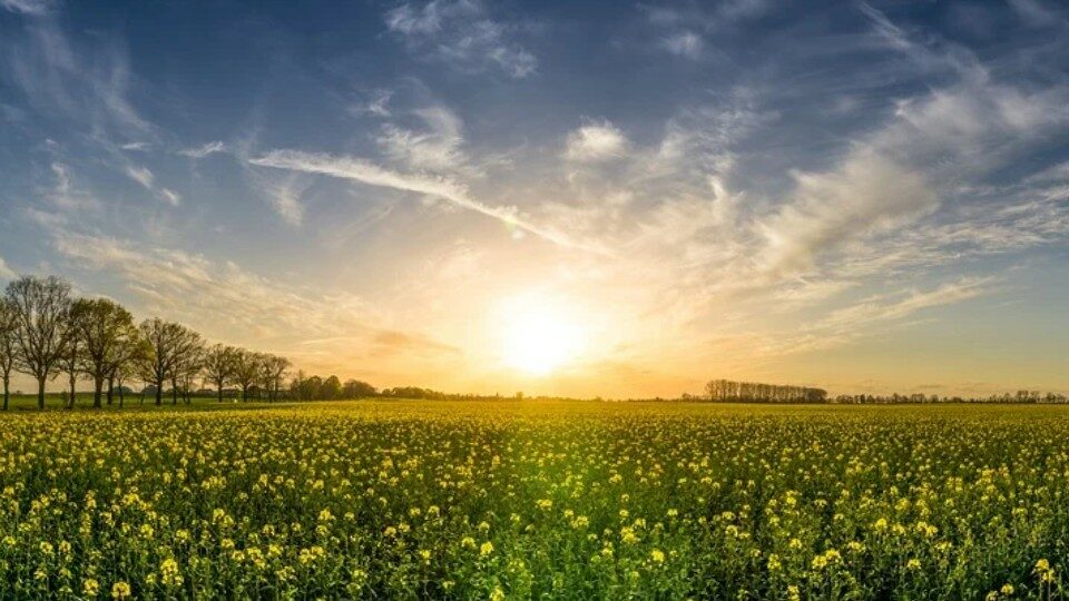 День летнего солнцестояния в 2025 году