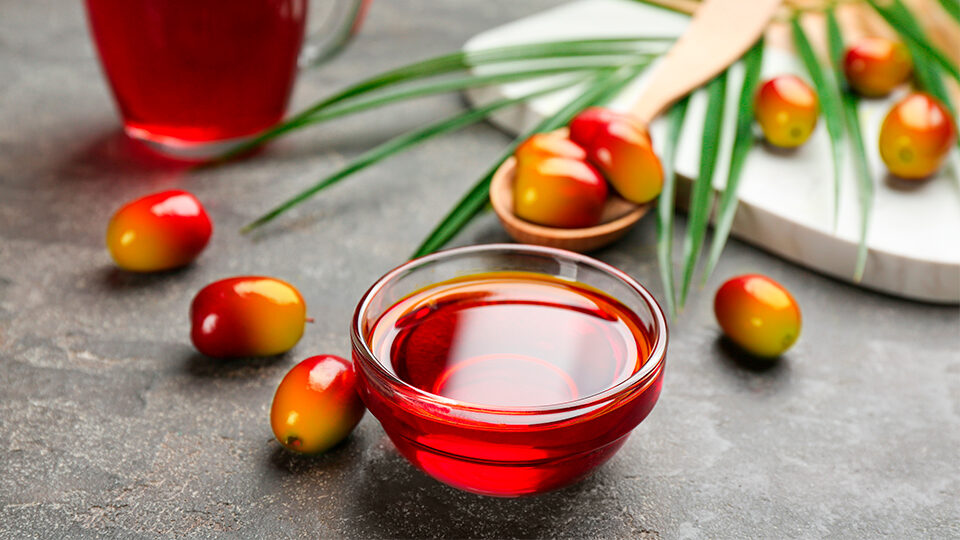 Пальмовое масло: польза и вред для организма