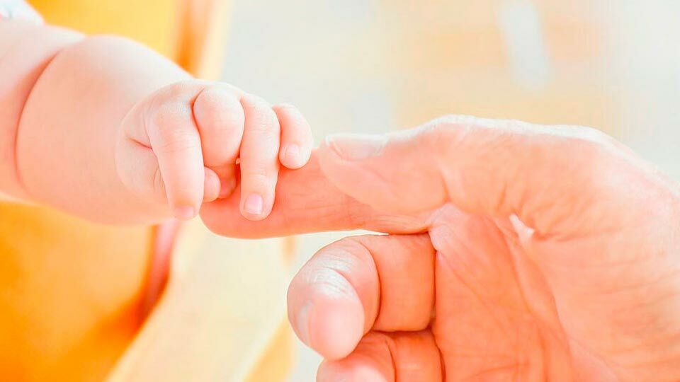 Установление отцовства