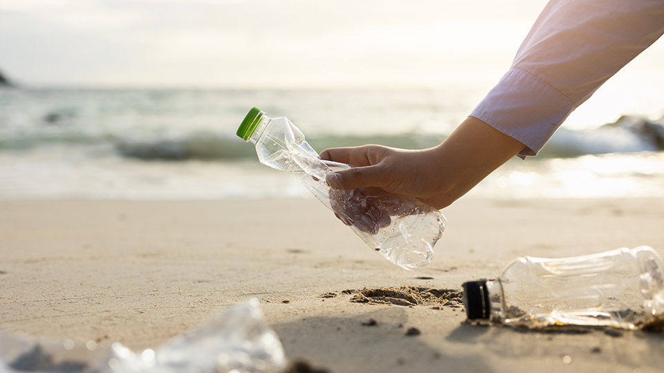 От Москвы до Екатеринбурга: создайте команду волонтеров в своем городе и помогите любимым водоемам стать чище