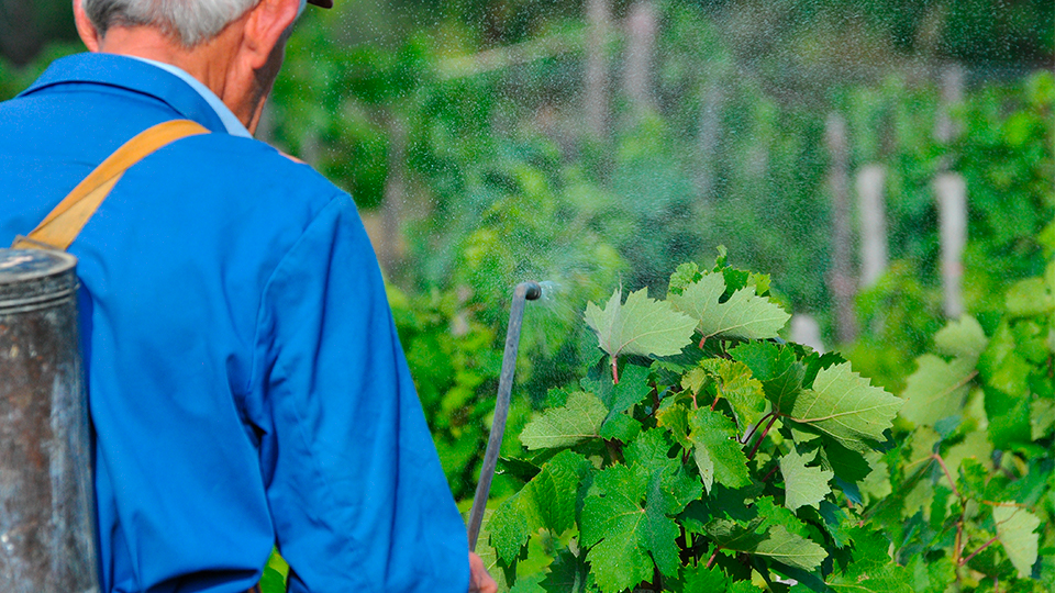 Тиовит Джет