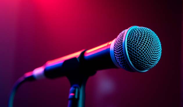 Караоке дома