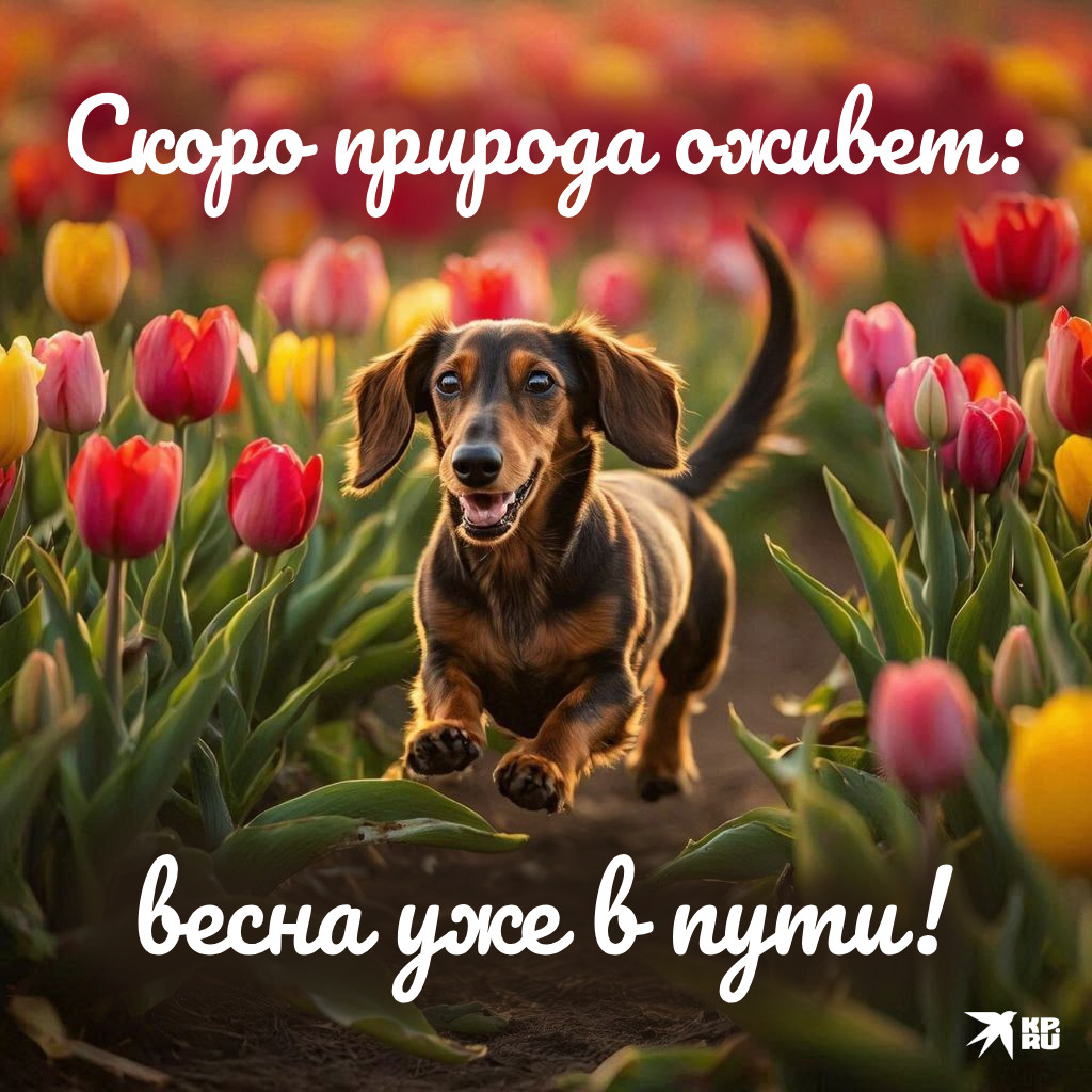 Популярные картинки «С первым днем весны»