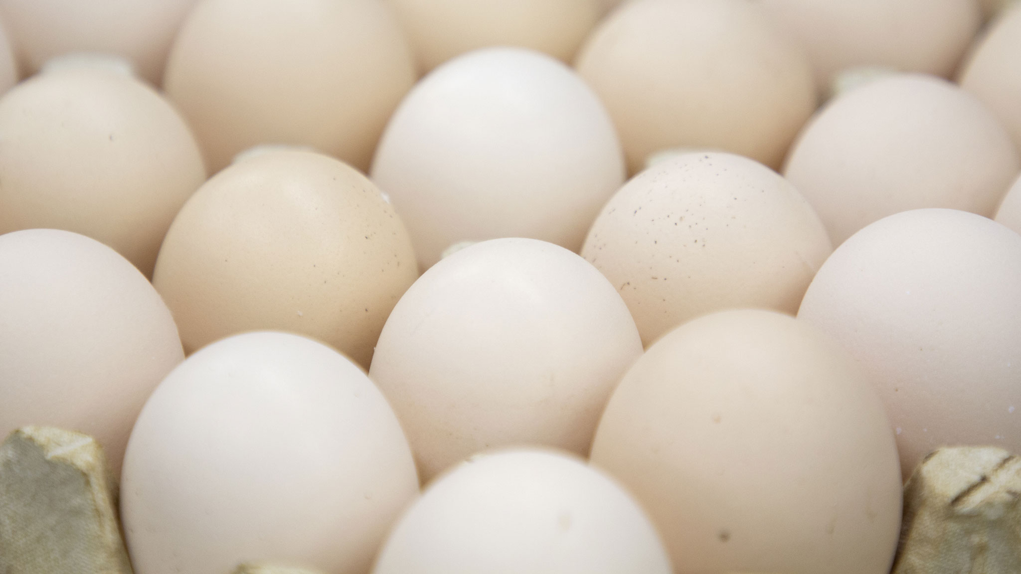 куриные яйца