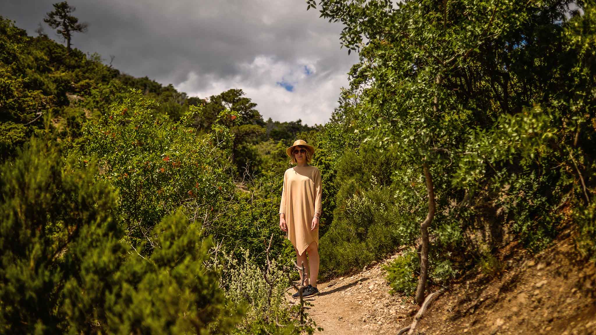 Гора акуи. Гебиусские водопады дерево желаний. Дерево желаний краснодарский край. Ущелье эль чорро малага испания. Дорога через скалу.