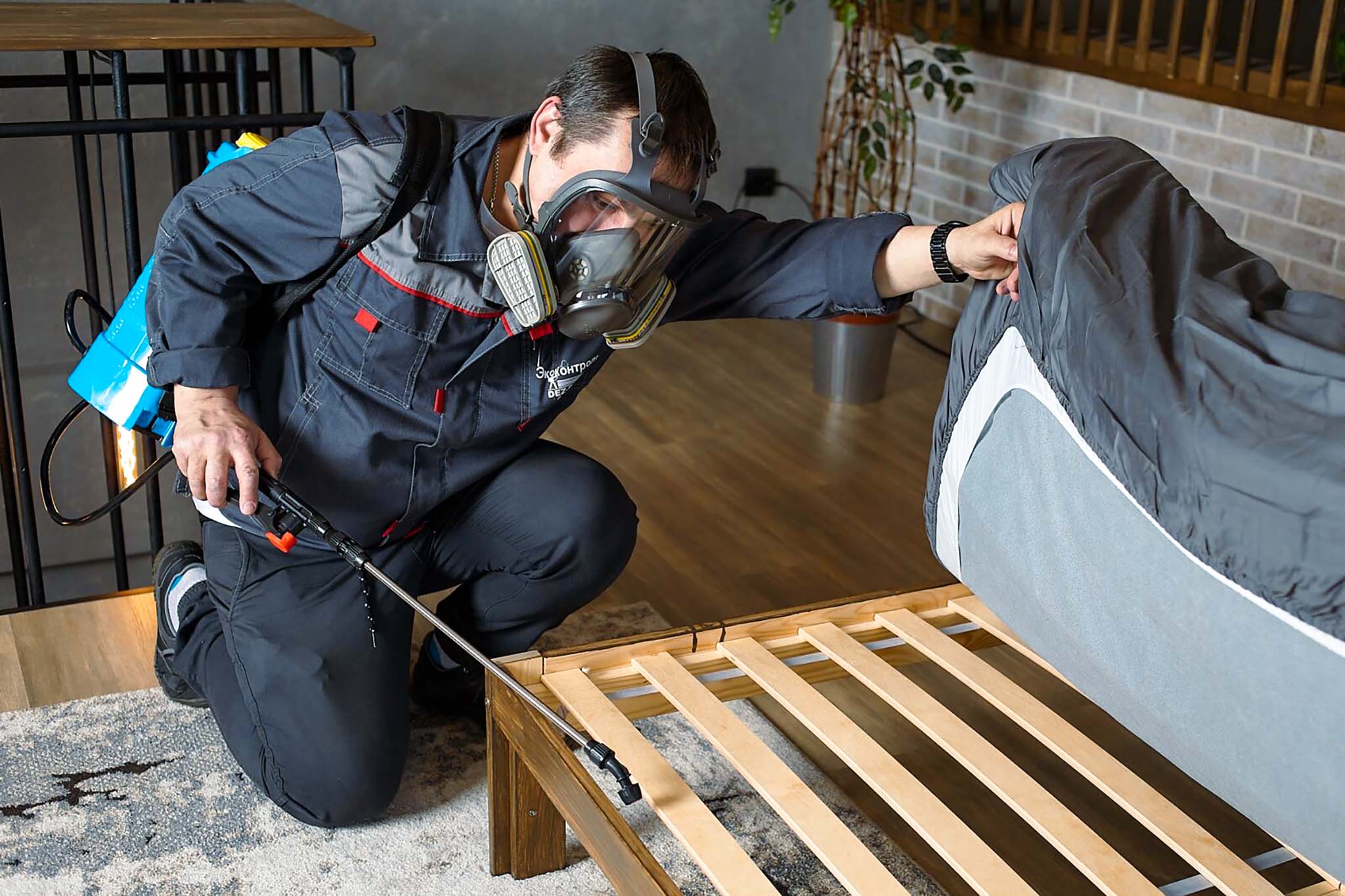 6 лучших служб дезинфекции в Санкт-Петербурге 2023: рейтинг топ ...