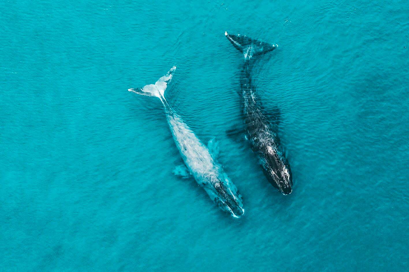 Шантарские острова 2024: где находятся на карте, туры, цены, фото, как ...