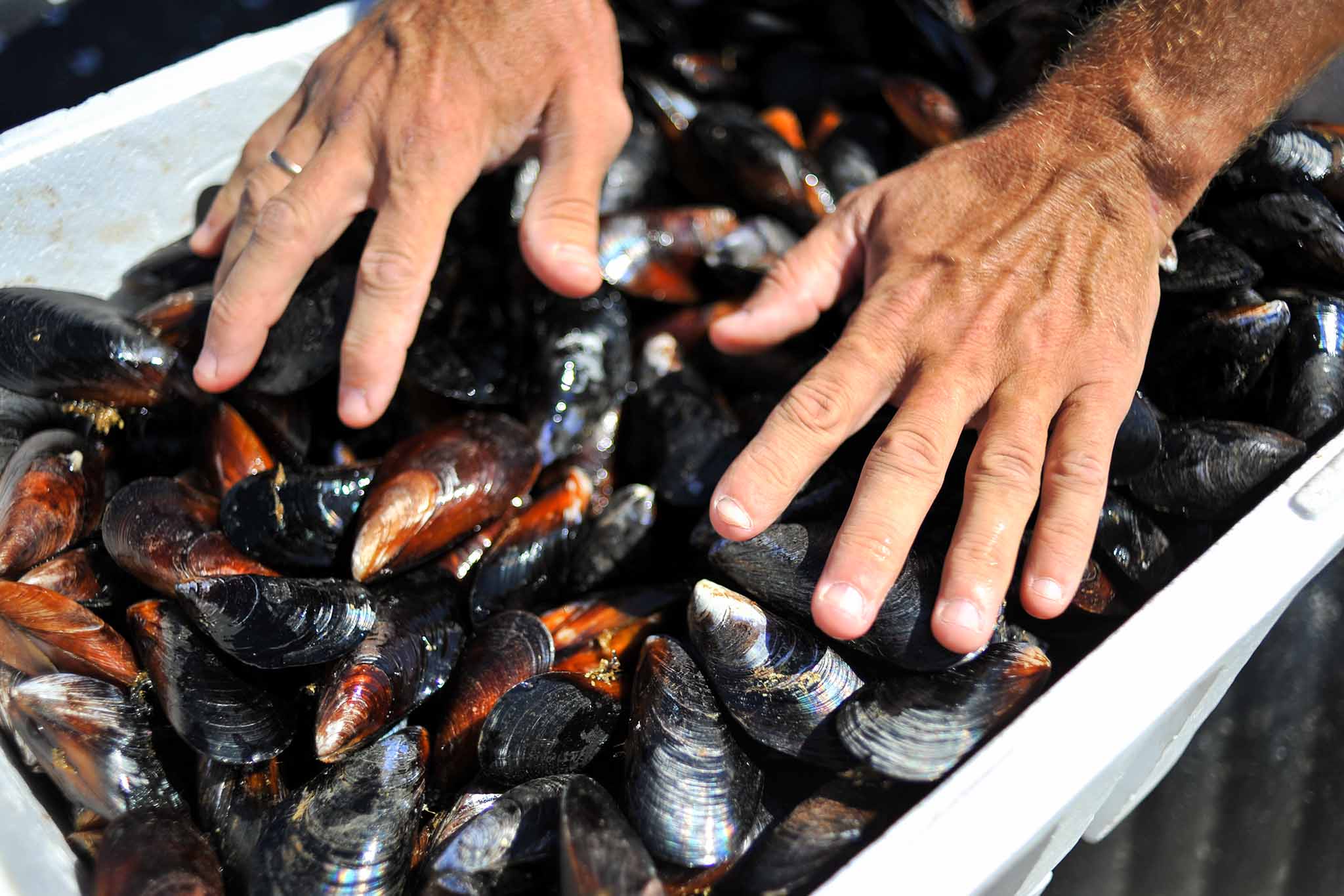 Шантарские острова 2024: где находятся на карте, туры, цены, фото, как ...