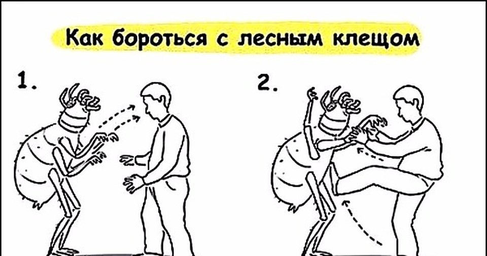 Клещ картинка смешная, логотипом