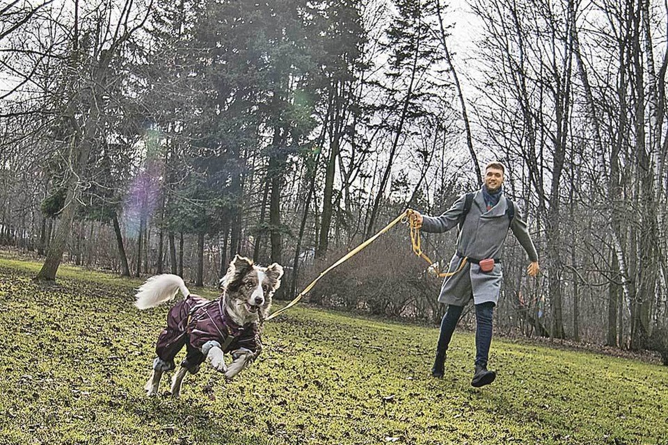 - Ну что, временный хозяин, если угонишься, разрешу погладить!