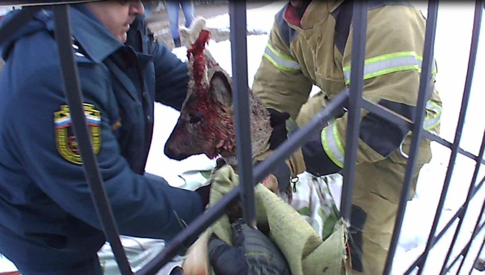 фото: Специальное управление ФПС № 8 МЧС России