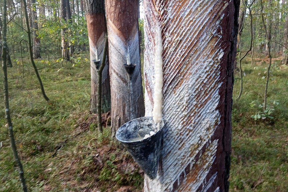 Это не руны и не "наскальная живопись", это - работа вздымщика. "Комсомолка"узнала, чем занимается этот человек.