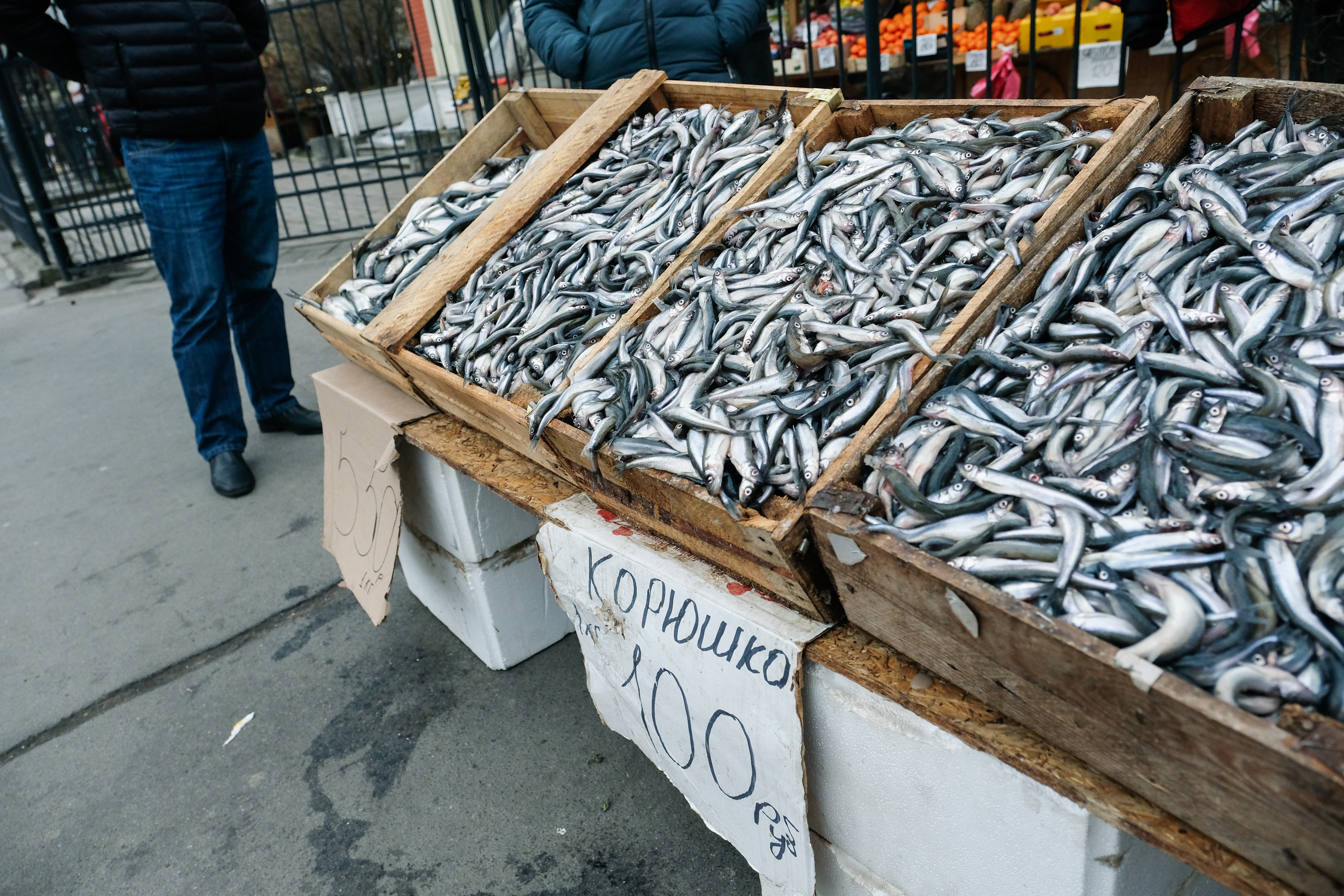 Весной 2020 года жители смогли вдоволь полакомиться любимой рыбкой