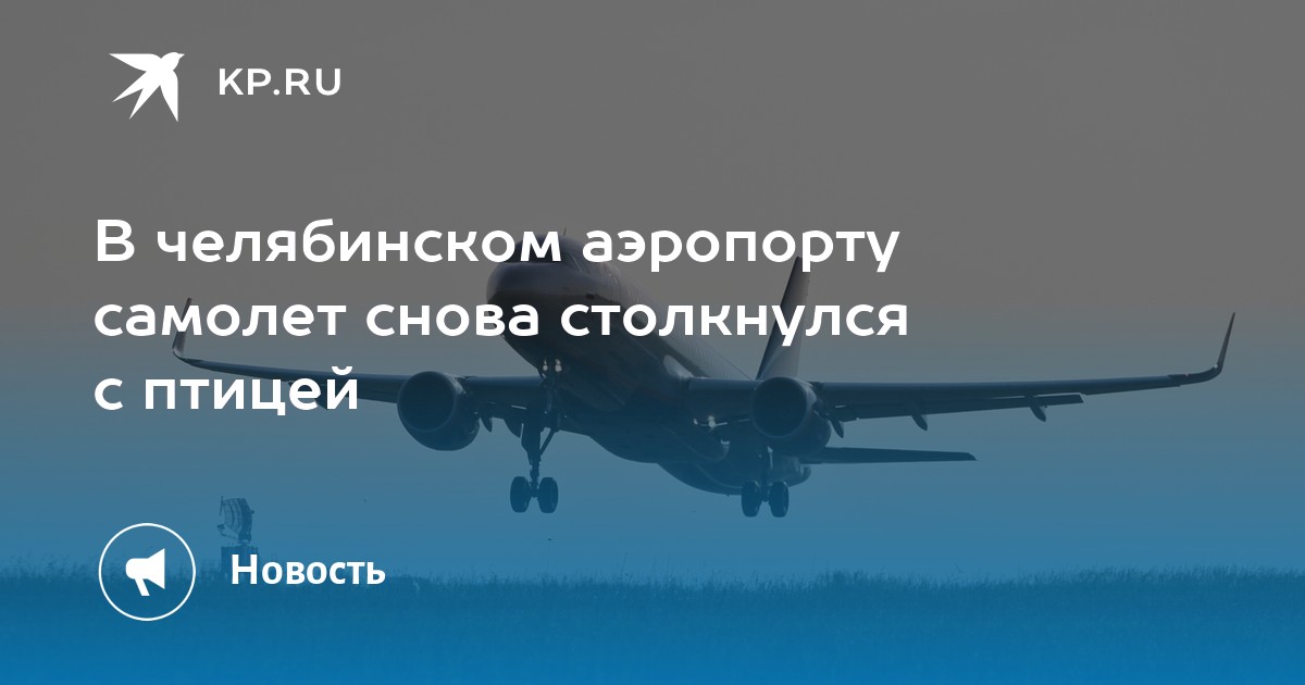 В челябинском аэропорту самолет снова столкнулся с птицей - Vimarsana News