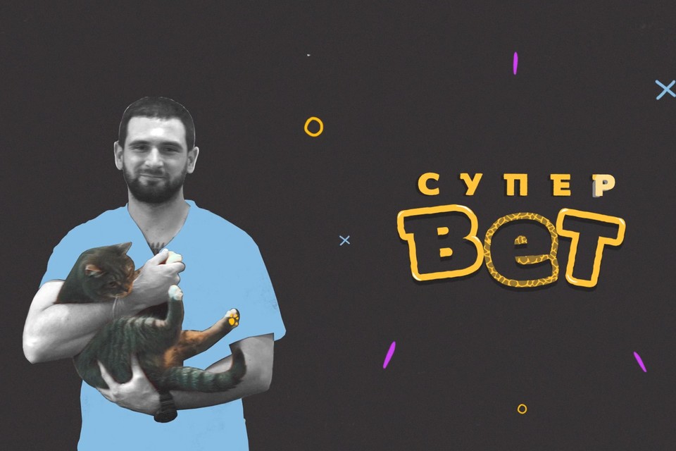 Первое онлайн-реалити о спасении животных: Чем живут российские ветеринары