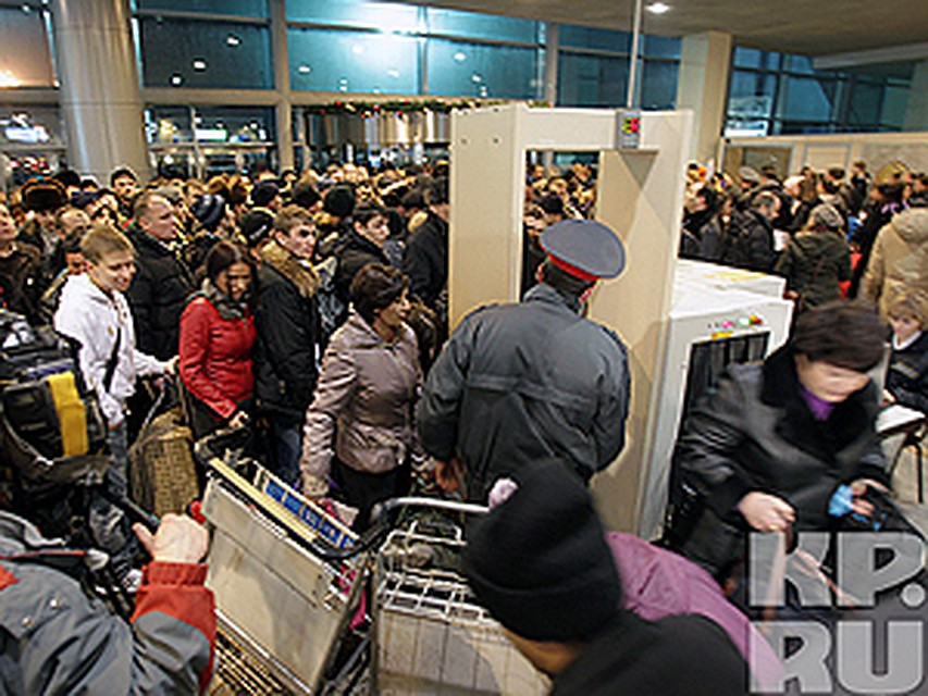 выбрать работа в домодедово охрана кориандра бергамота переходит