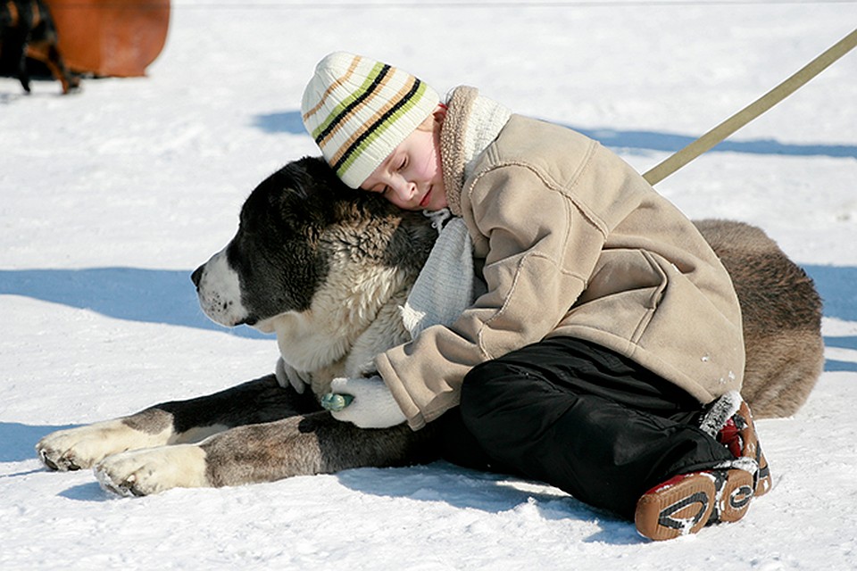 Договор Подряда На Выпас Скота - regulationsxpert