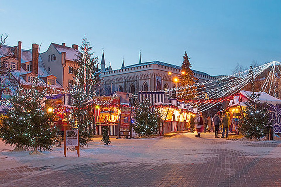 Рождество в латвии. Эстония город таллин. Рождественская елка в риге. Латвия рига елка. Латвия рига.