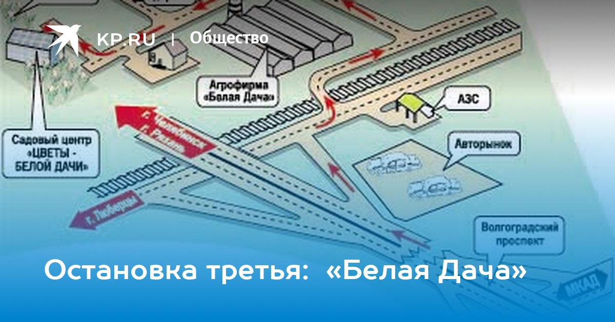 Магазин Растений Белая Дача