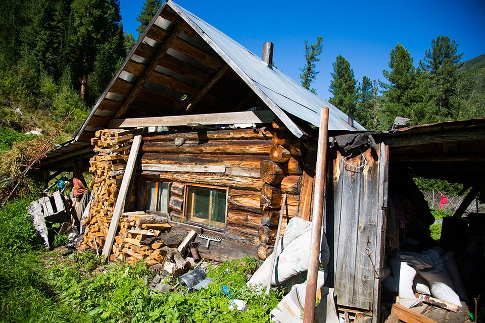 липа заимка лыковых фото так следует думать