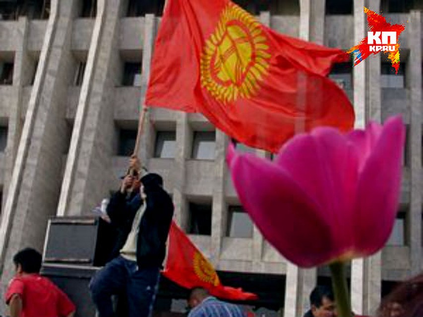 тюльпановая революция в киргизии. аскар акаев тюльпановая революция. тюльпановая революция в киргизии 2005. революция в киргизии 2005. 2005 год - "тюльпановая революция" в киргизии.