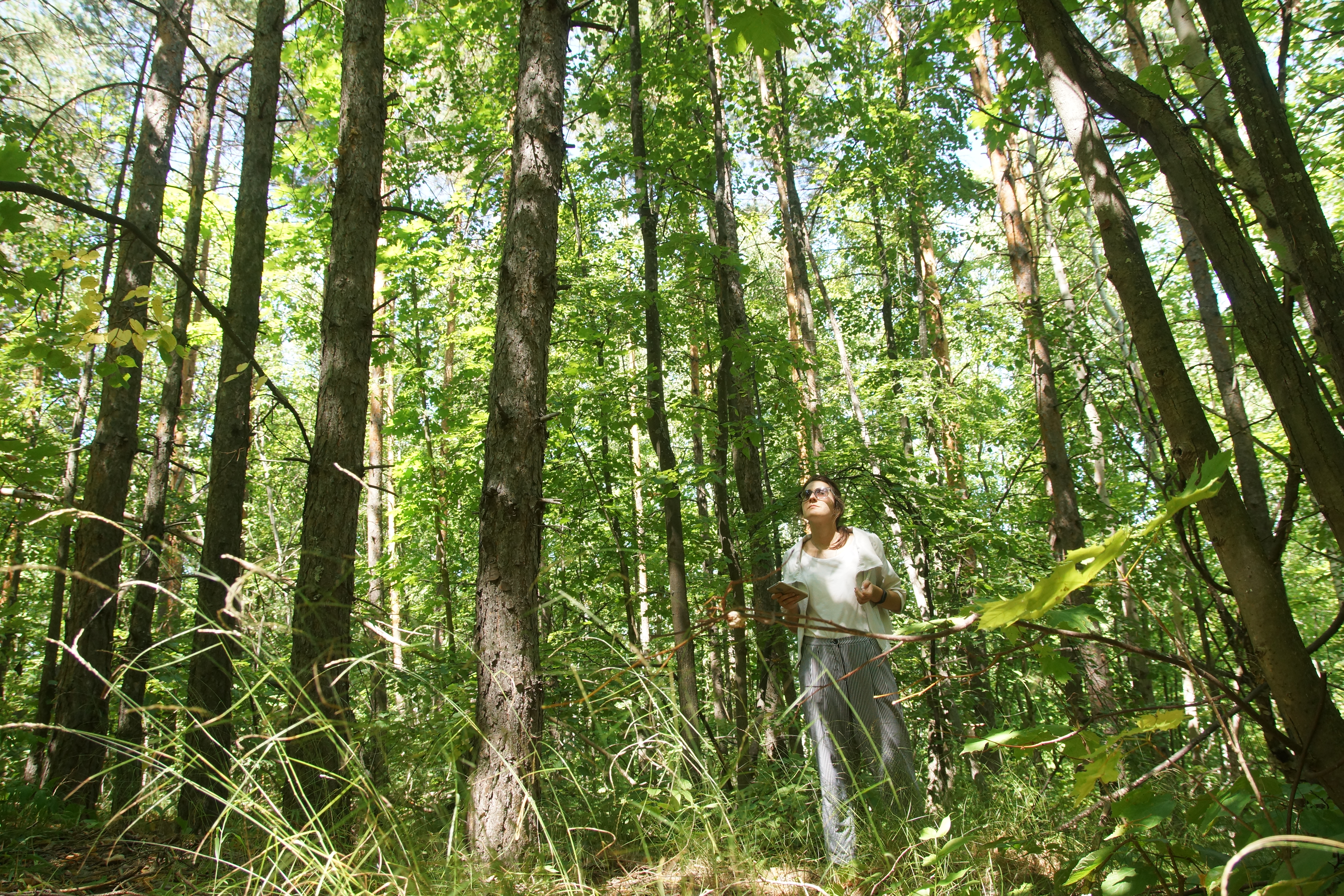 В чаще мы плутали несколько часов