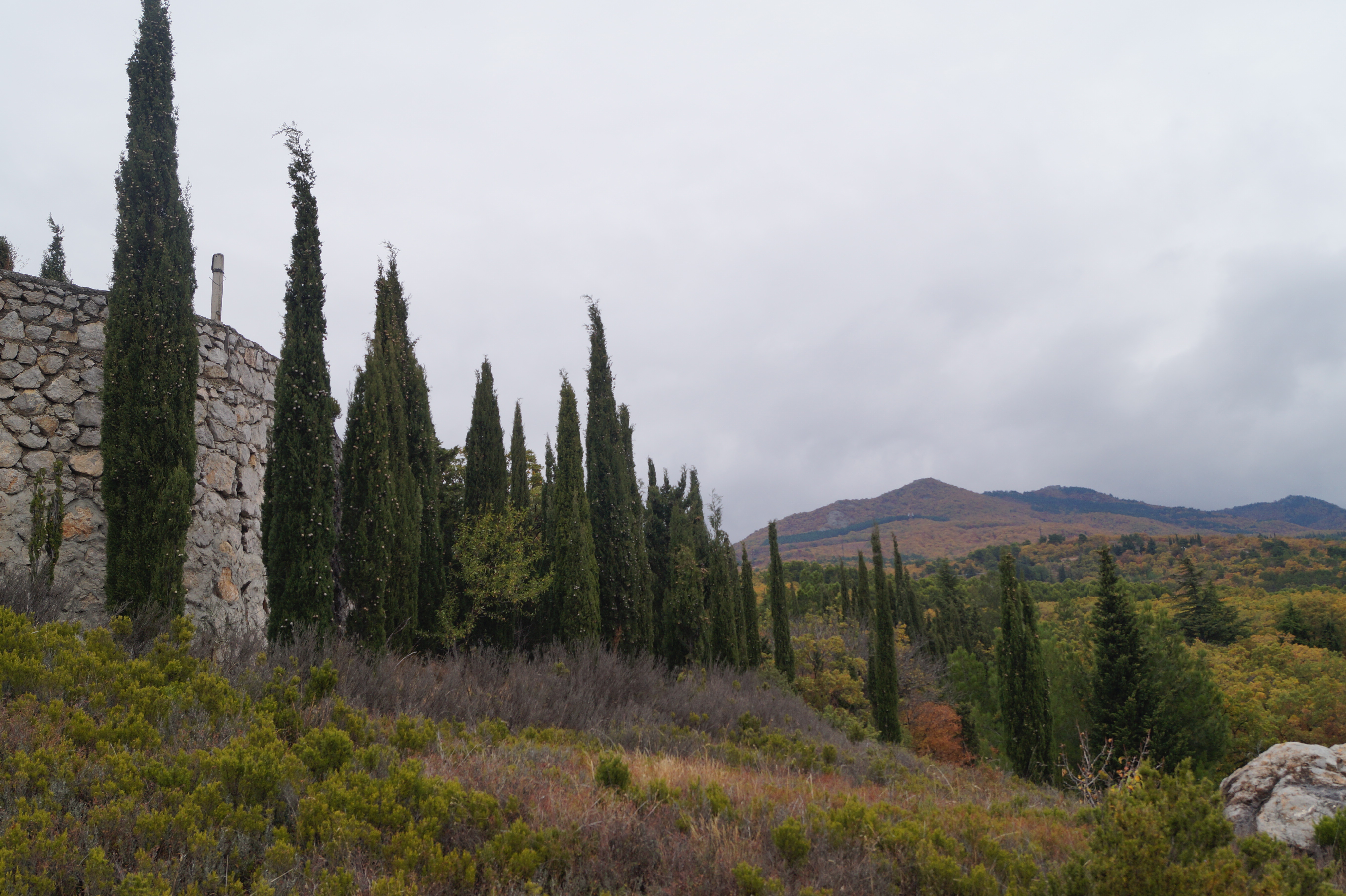 Виды с будущей игорной зоны открываются прекрасные