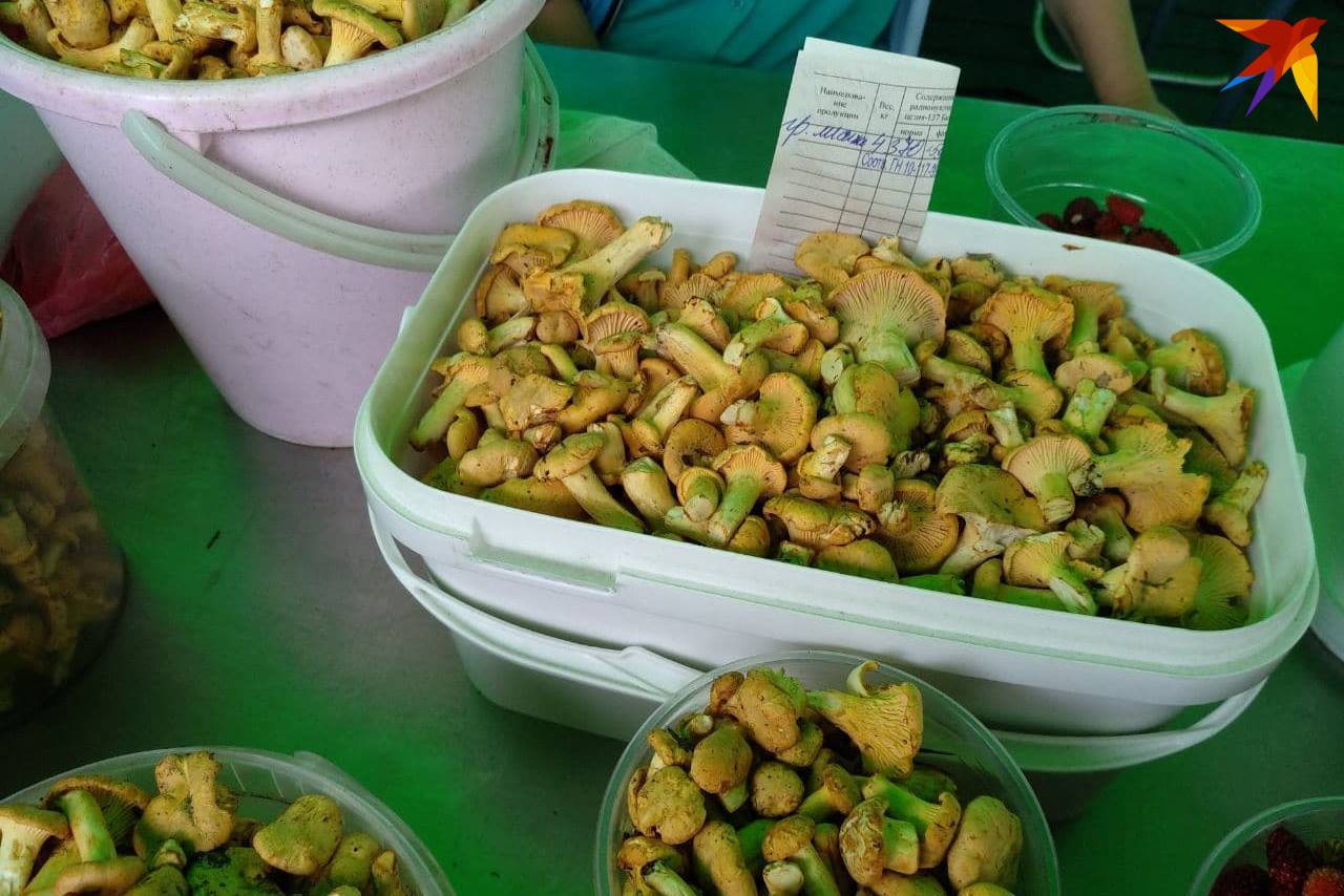 почем огурцы на комаровке. Смотреть фото почем огурцы на комаровке. Смотреть картинку почем огурцы на комаровке. Картинка про почем огурцы на комаровке. Фото почем огурцы на комаровке почем огурцы на комаровке. Смотреть фото почем огурцы на комаровке. Смотреть картинку почем огурцы на комаровке. Картинка про почем огурцы на комаровке. Фото почем огурцы на комаровке