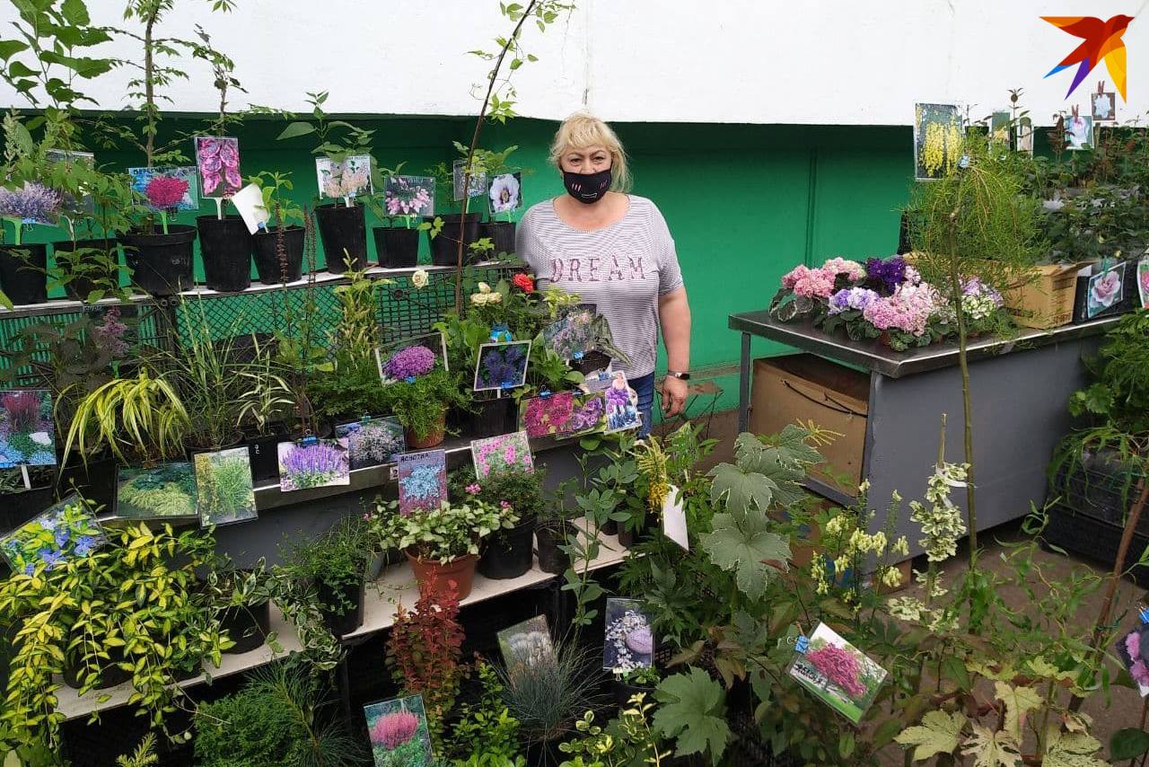 почем огурцы на комаровке. Смотреть фото почем огурцы на комаровке. Смотреть картинку почем огурцы на комаровке. Картинка про почем огурцы на комаровке. Фото почем огурцы на комаровке почем огурцы на комаровке. Смотреть фото почем огурцы на комаровке. Смотреть картинку почем огурцы на комаровке. Картинка про почем огурцы на комаровке. Фото почем огурцы на комаровке