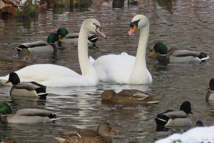 можно ли любить человека своего пола. Смотреть фото можно ли любить человека своего пола. Смотреть картинку можно ли любить человека своего пола. Картинка про можно ли любить человека своего пола. Фото можно ли любить человека своего пола можно ли любить человека своего пола. Смотреть фото можно ли любить человека своего пола. Смотреть картинку можно ли любить человека своего пола. Картинка про можно ли любить человека своего пола. Фото можно ли любить человека своего пола
