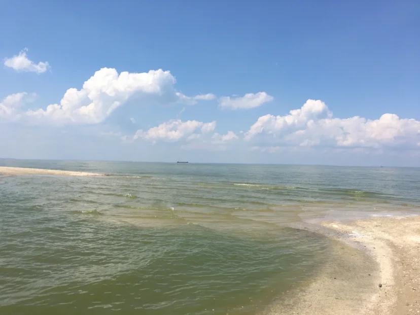 А еще прибрежная вода кусается! Фото: ПОПОВА Маргарита