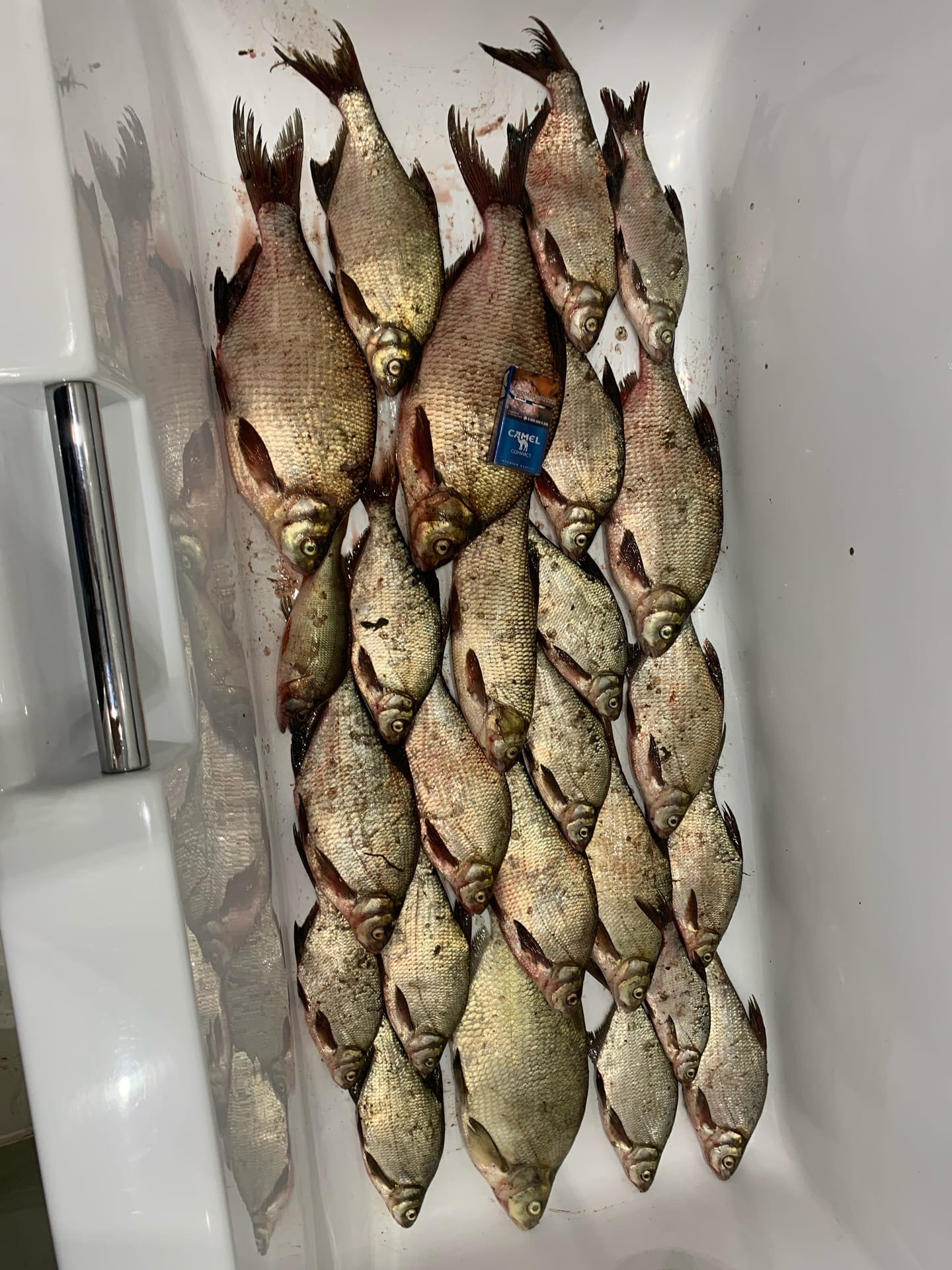 Ставил три фидера, не успевал один вытащить