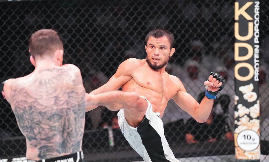 Нурмагомедов судейским решением победил Сэндхагена на UFC on ABC 7. Фото: UFC Eurasia